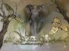 Elefant-2